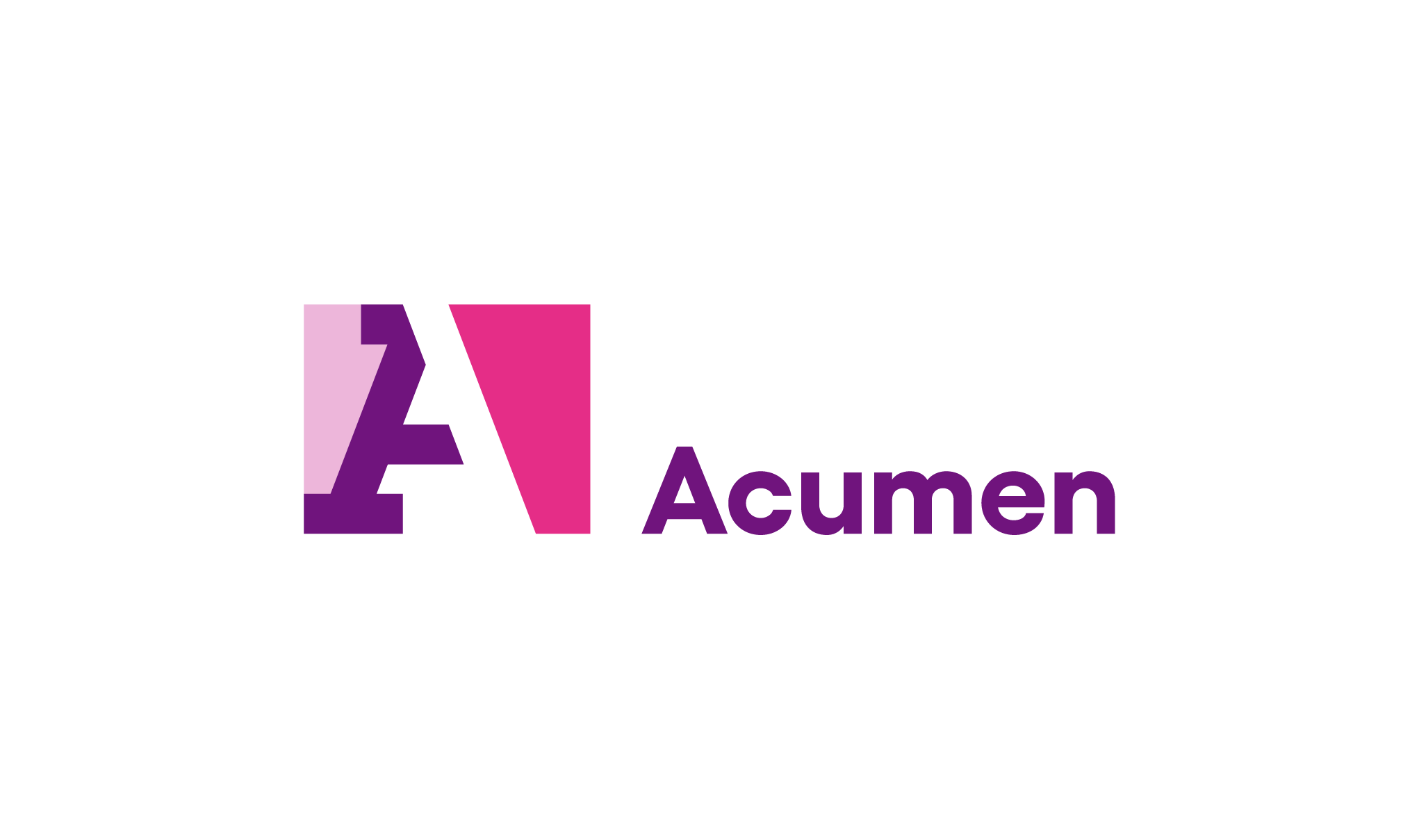 Acumen Horizontal Logo - Pink